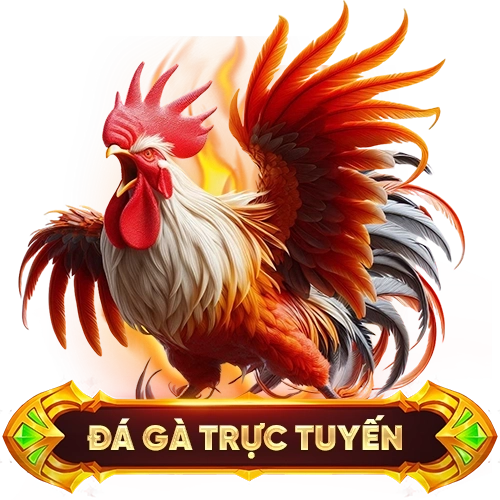 đá gà trực tuyến NH88